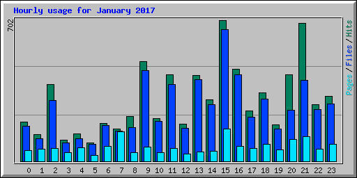 Hourly usage for January 2017