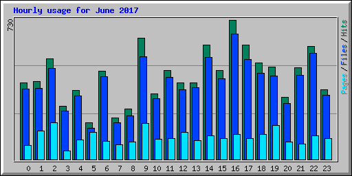Hourly usage for June 2017